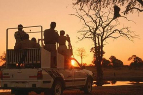 Safari Homes by Secret TurtleProjectorSafariBBQ